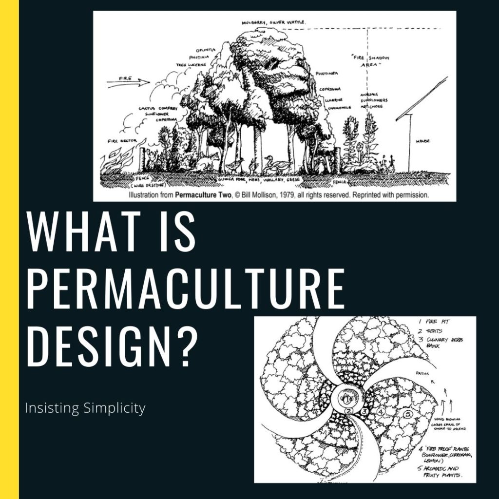 what is permaculture design