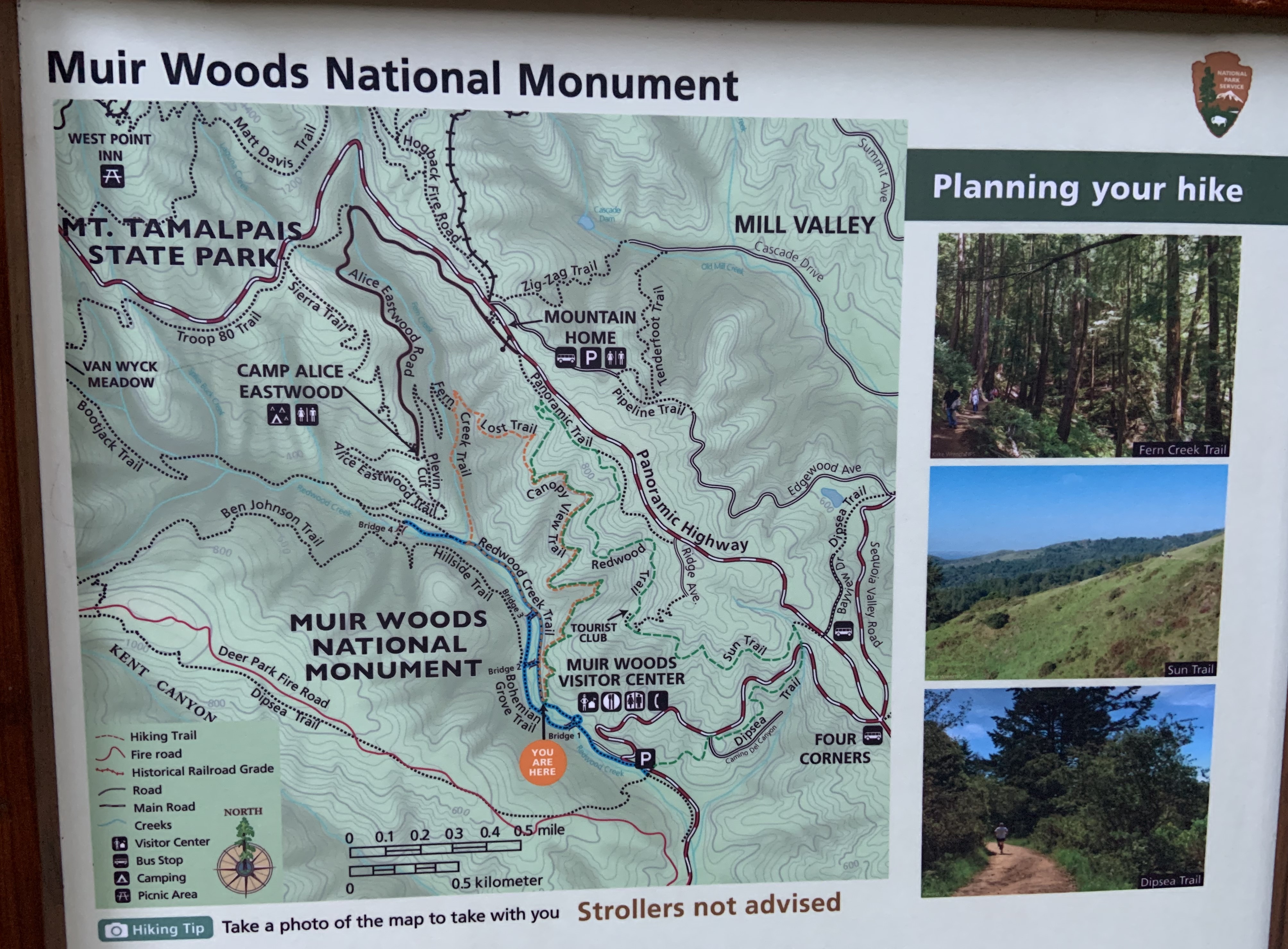 Muir Woods map