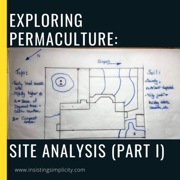 Exploring Permaculture Site Analysis