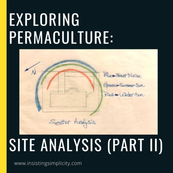 exploring permaculture site analysis II