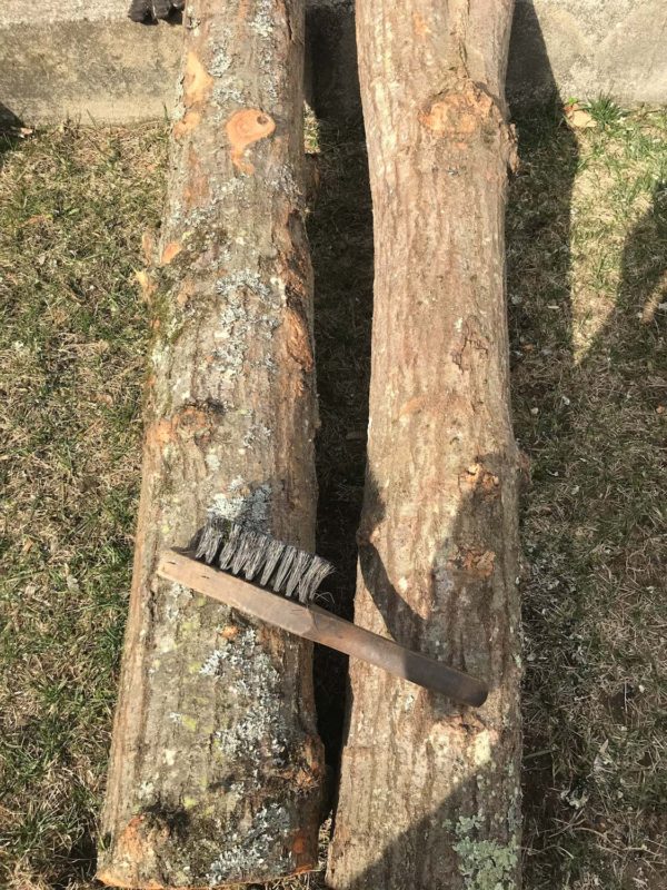 Oak logs wire brush