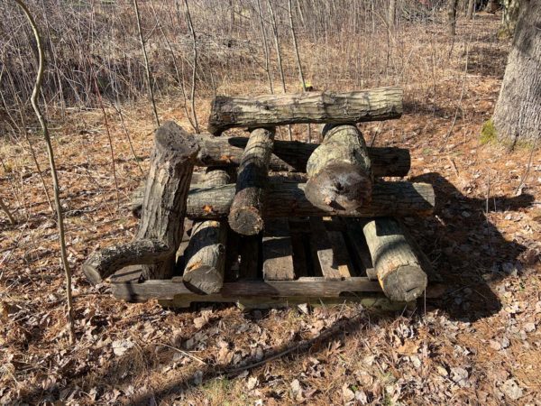 stacked shitake logs